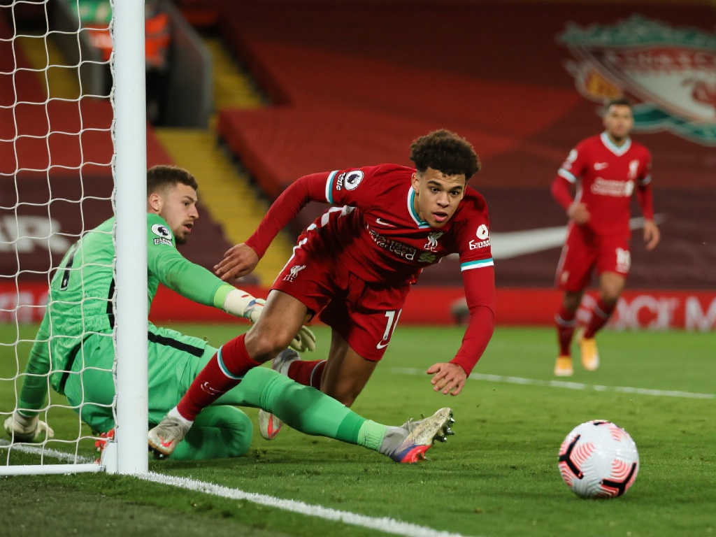 在球迷的記 在球迷的記