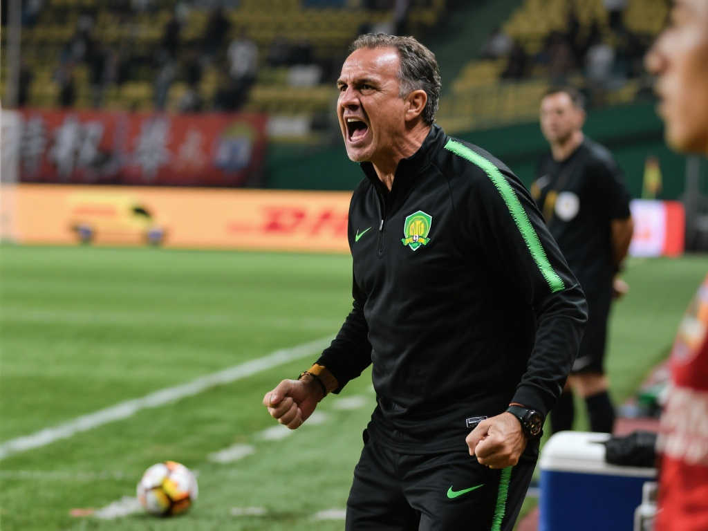 沙欣在组织 沙欣在组织