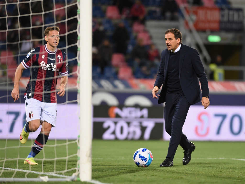 阿莫林的感 阿莫林的感